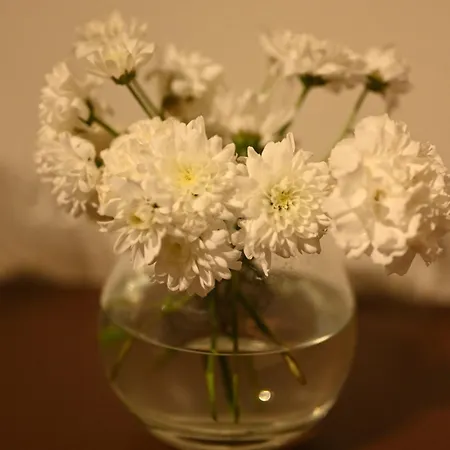 Hotel Niche Boutique