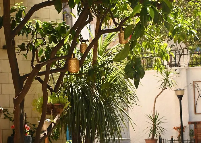 호텔 Niche Boutique 4*