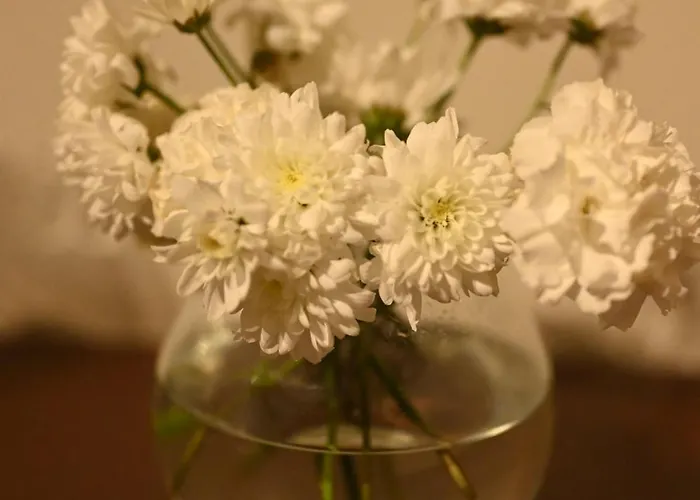 Hotel Niche Boutique