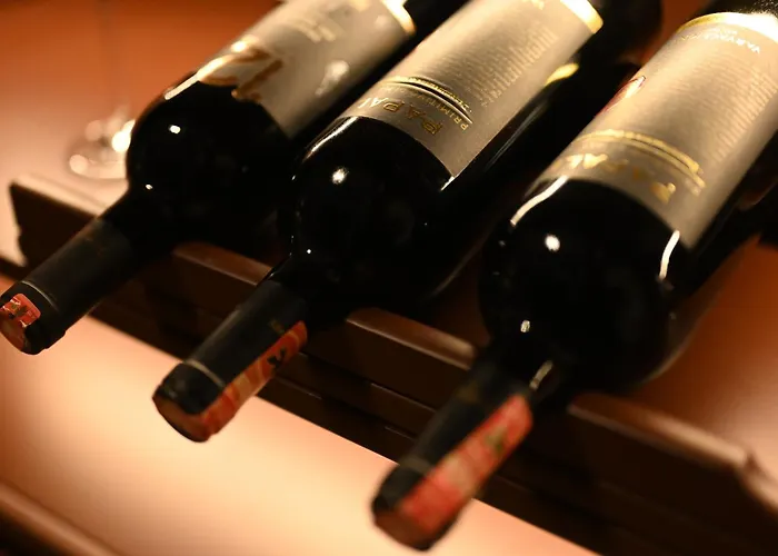 Niche Boutique 호텔 티라나