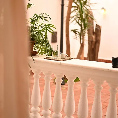 Niche Boutique 티라나