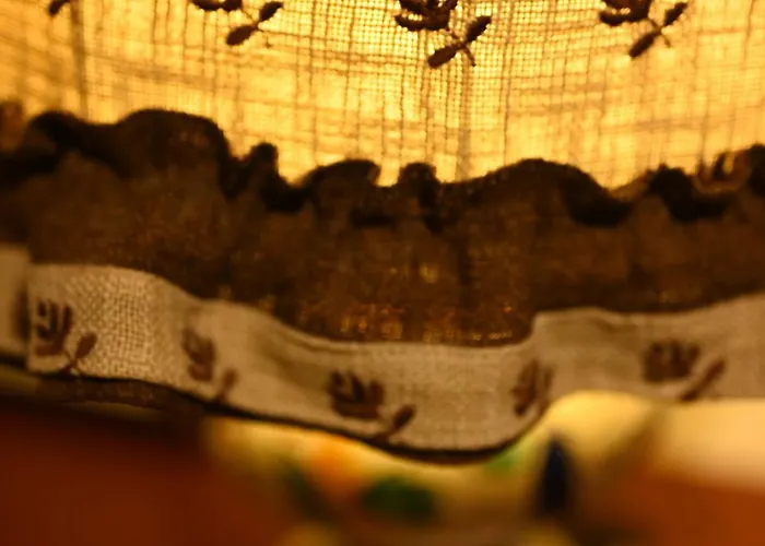 Niche Boutique Tiran